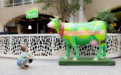 A child in striped clothes crouches and gazes at a colorful, life-sized cow statue inside a building. The cow is painted green with bright accents, branded with Marché and Fresh - Healthy - Fast. Capturing moments like these adds a unique touch to event photography. A green plant is visible in the background.
